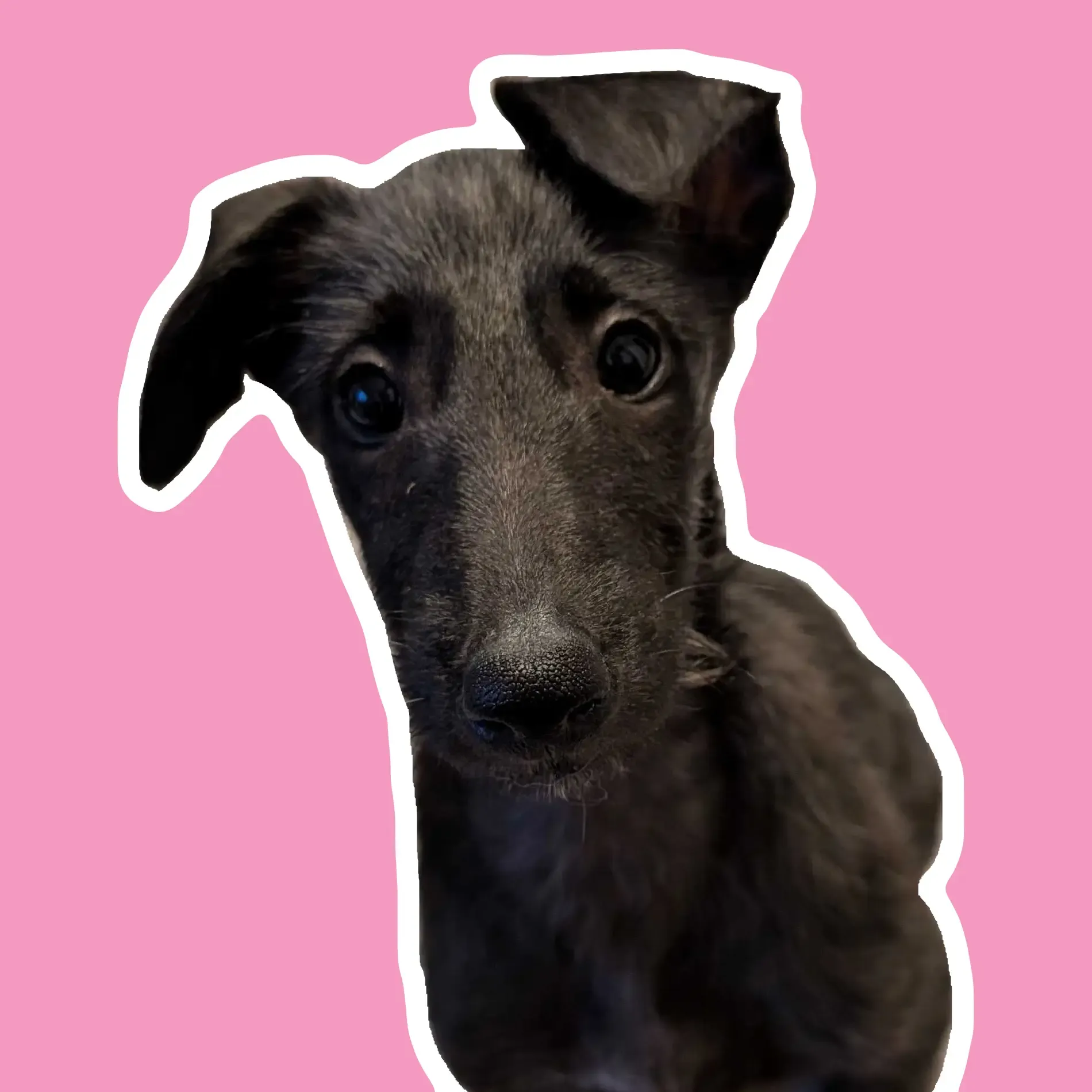 Lillemor